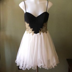 Winter formal/Homecoming dress